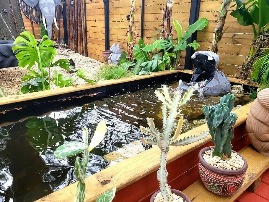 Cozy Af Jungle-House Hideaway Villa Tampa Holiday home